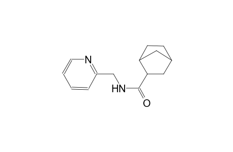 N-(2-pyridinylmethyl)bicyclo[2.2.1]heptane-2-carboxamide