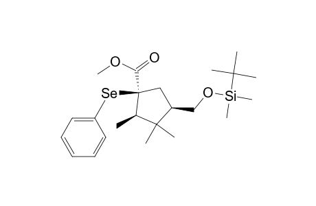(1S,3R,5R)-methyl 1-phenylseleno-3-((tert-butyldimethylsiloxy)methyl)-4,4,5-trimethylcyclopentane-1-carboxylate