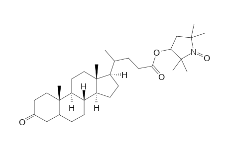 3'-(Cholan-3-one-24-oate)-2',2',5',5'-tetramethylpyrrolidine-1'-oxyl