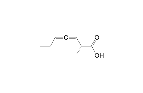 (Sa,R)-(+)-2-Methylhepta-3,4-dienoic Acid