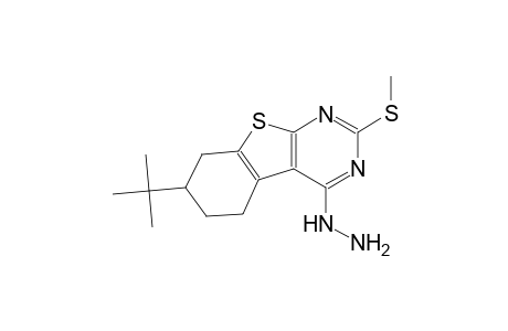 [1]Benzothieno[2,3-d]pyrimidine, 7-(1,1-dimethylethyl)-4-hydrazino-5,6,7,8-tetrahydro-2-(methylthio)-