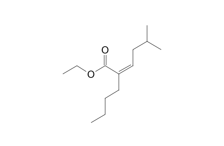 2-Hexenoic acid, 2-butyl-5-methyl-, ethyl ester