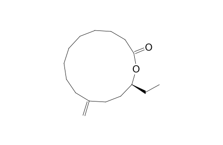 (14S)-14-ethyl-11-methylene-oxacyclotetradecan-2-one