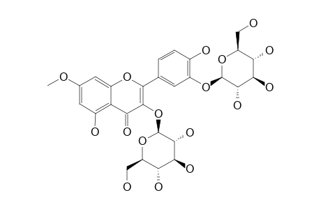 DIPLOTAXIDE-B;RHAMNETIN-3,3'-DI-O-BETA-L-GLUCOPYRANOSIDE