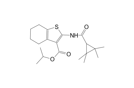 isopropyl 2-{[(2,2,3,3-tetramethylcyclopropyl)carbonyl]amino}-4,5,6,7-tetrahydro-1-benzothiophene-3-carboxylate