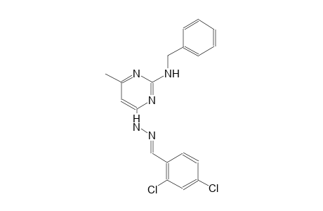 2,4-dichlorobenzaldehyde [2-(benzylamino)-6-methyl-4-pyrimidinyl]hydrazone