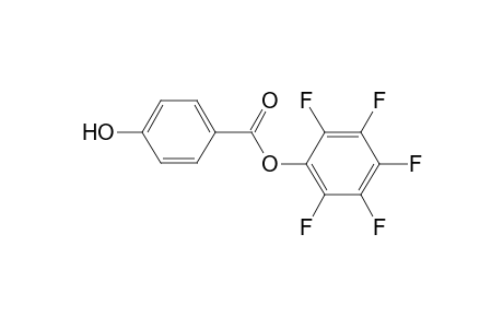 2,3,4,5,6-Pentafluorophenyl 4-Hydroxybenzoate