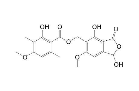 conechinocarpic acid