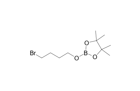 2-(4-Bromobutoxy)-4,4,5,5-tetramethyl-1,3,2-dioxaborolane