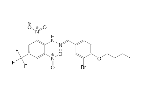 3-bromo-4-butoxybenzaldehyde [2,6-dinitro-4-(trifluoromethyl)phenyl]hydrazone