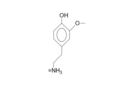 4-(2-Ammonio ethyl)-2-methoxy-phenol cation