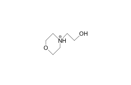 4-Morpholineethanol cation