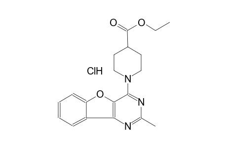 ethyl 1-(2-methyl[1]benzofuro[3,2-d]pyrimidin-4-yl)-4-piperidinecarboxylate hydrochloride