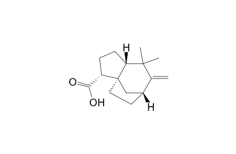 (2R,5S,8R,10R)-6,6-dimethyl-7-methylenetricyclo-[6.2.1.0(1,5)]undecane-2-carboxylic acid