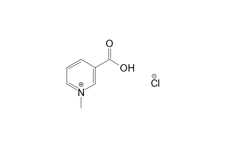 Trigonelline chloride