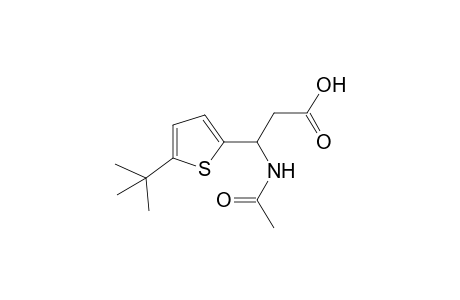 beta-acetamido-5-tert-butyl-2-thiophenepropionic acid