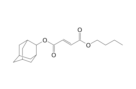 Fumaric acid, 2-adamantyl butyl ester