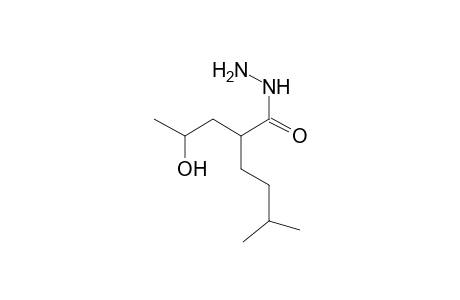 2-(2-hydroxypropyl)-5-methylhexanohydrazide