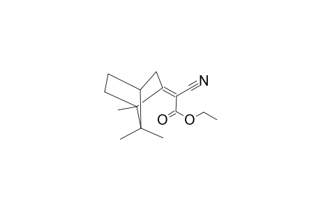 ethanoic acid, cyano(1,7,7-trimethylbicyclo[2.2.1]hept-2-ylidene)-, ethyl ester, (2Z)-