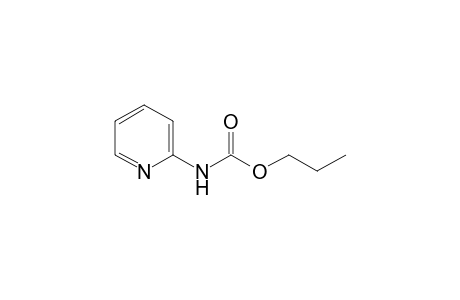 propyl pyridin-2-ylcarbamate