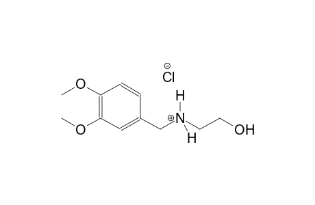 N-(3,4-dimethoxybenzyl)-2-hydroxyethanaminium chloride