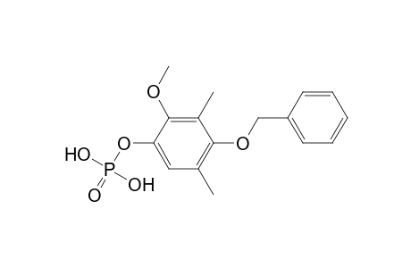 Phosphoric acid, 2-methoxy-4-(phenylmethoxy)phenyl dimethyl ester