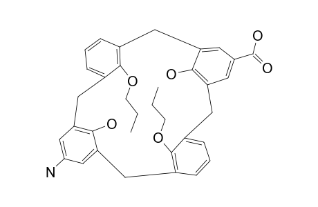 11-AMINO-23-HYDROXYCARBONYL-25,27-DIHYDROXY-26,28-DIPROPOXYCALIX-[4]-ARENE