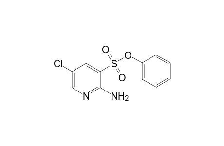 Phenyl 2-Amino-5-chloropyidine-3-sulfonate