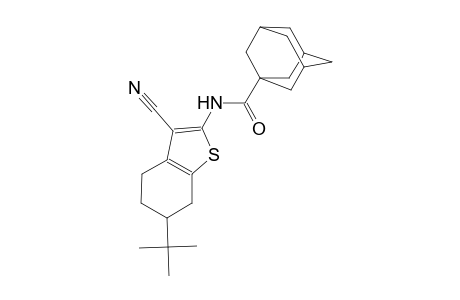N-(6-tert-butyl-3-cyano-4,5,6,7-tetrahydro-1-benzothien-2-yl)-1-adamantanecarboxamide