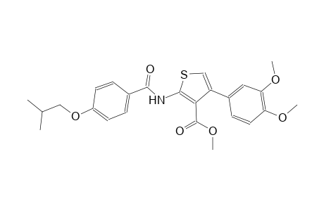 methyl 4-(3,4-dimethoxyphenyl)-2-[(4-isobutoxybenzoyl)amino]-3-thiophenecarboxylate