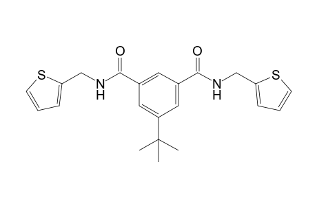 N,N'-bis(2-thenyl)-5-tert-butylisophthalamide
