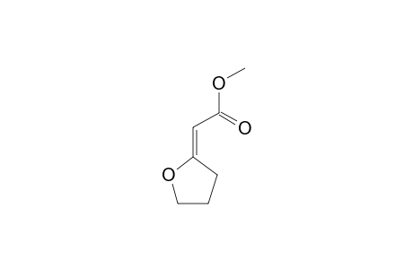 2-(E)-(1-METHOXYCARBONYLMETHYLIDENE)-TETRAHYDROFURAN