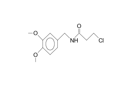 3-Chloro-N-(3,4-dimethoxy-benzyl)-propionamide