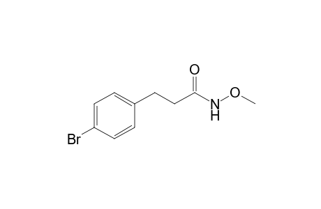 3-(4-bromophenyl)-N-methoxy-propanamide