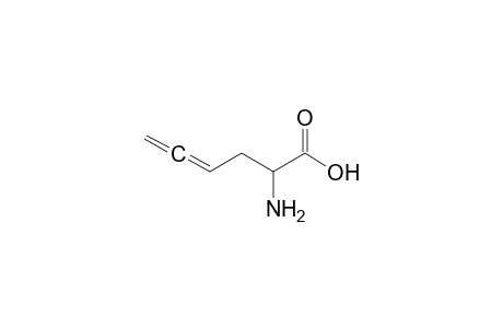 2-Amino-4,5-hexadienoic acid