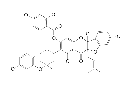 SANGGENON-5