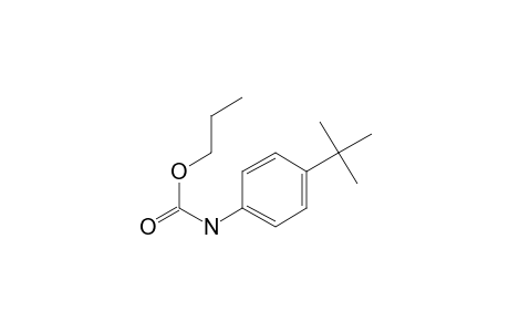 4-Tert-butylaniline, N-(N-propyloxycarbonyl)-