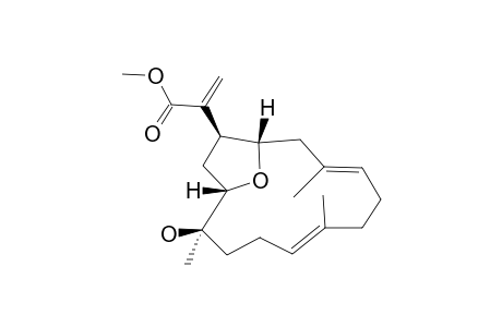 Eunioloic acid methyl ester