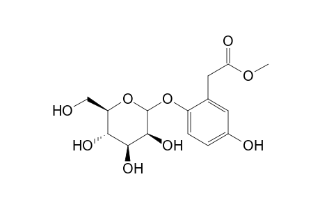 2.beta.,D-Glucopyranosyloxy-5-hydroxyphenylacetic acid methyl ester