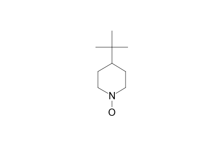 4-tert-Butyl-1-hydroxy-piperidine