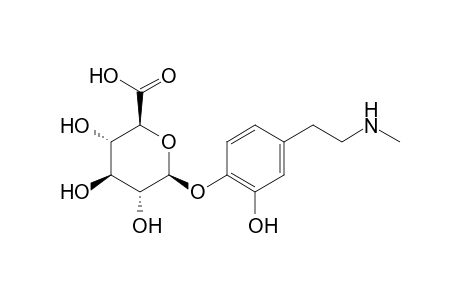 beta-2-hydroxy-4-[2-(methylamino)ethyl]phenyl glucopyranosiduronic acid