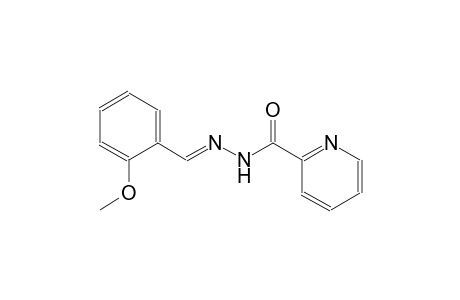 2-pyridinecarboxylic acid, 2-[(E)-(2-methoxyphenyl)methylidene]hydrazide