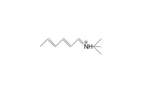tert-Butyl-(E,E)-2,4-hexadienylidene-iminium cation
