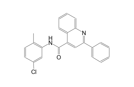 N-(5-chloro-2-methylphenyl)-2-phenyl-4-quinolinecarboxamide