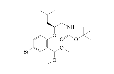 (+-)-tert-Butyl 2-[4-Bromo-2-(dimethoxymethyl)phenoxy]-3-methylbutylcarbamate
