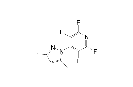 4-(3,5-dimethyl-1-pyrazolyl)-2,3,5,6-tetrafluoropyridine