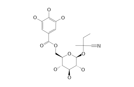 SUPINANITRILOSIDE-C;(R)-LOTAUSTRALIN-6'-O-GALLATE;(R)-2-HYDROXY-2-METHYLBUTANENITRILE-BETA-D-GLUCOPYRANOSIDE-6'-O-GALLATE