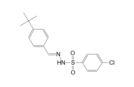 N'-[(E)-(4-tert-butylphenyl)methylidene]-4-chlorobenzenesulfonohydrazide