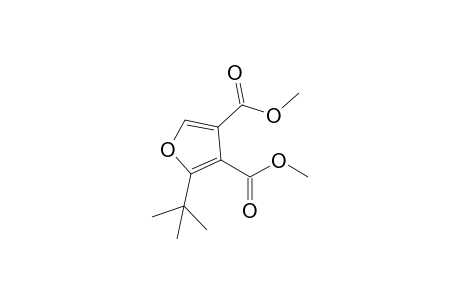 Dimethyl 2-(tert-butyl)furan-3,4-dicarboxylate