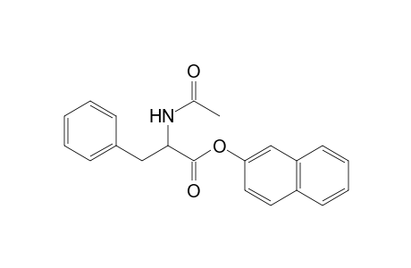 DL-N-acetyl-3-phenylalanine, 2-naphthyl ester